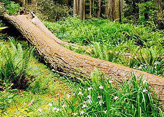 2010年公司被評(píng)為門(mén)窗行業(yè)十強(qiáng)企業(yè)