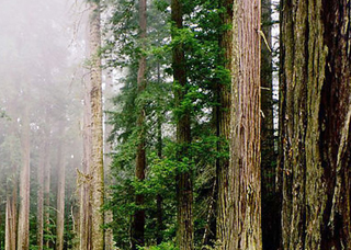 用心選料、精心制作、放心使用